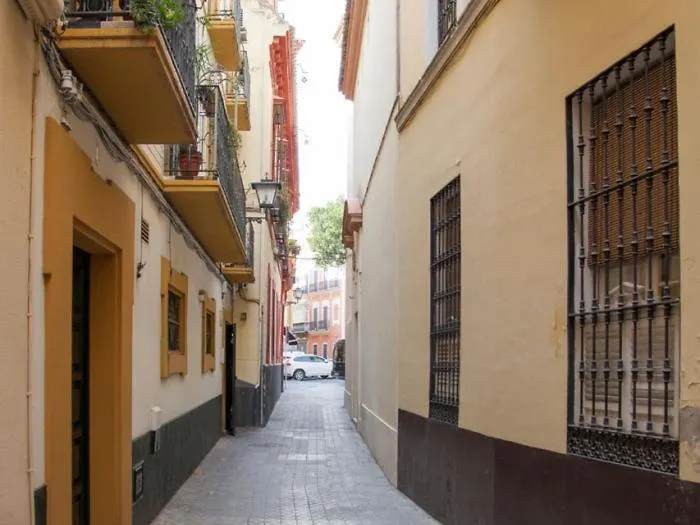 Atico De Ensueno En El Corazon De Sevilla Wifi Ac Apartment